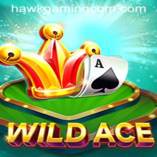 Discover the Thrill of 'WildAce' by HawkGaming